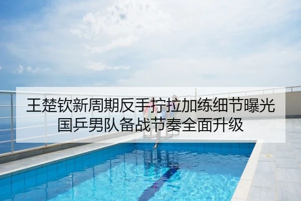 王楚钦新周期反手拧拉加练细节曝光 国乒男队备战节奏全面升级 - 3DMGAME